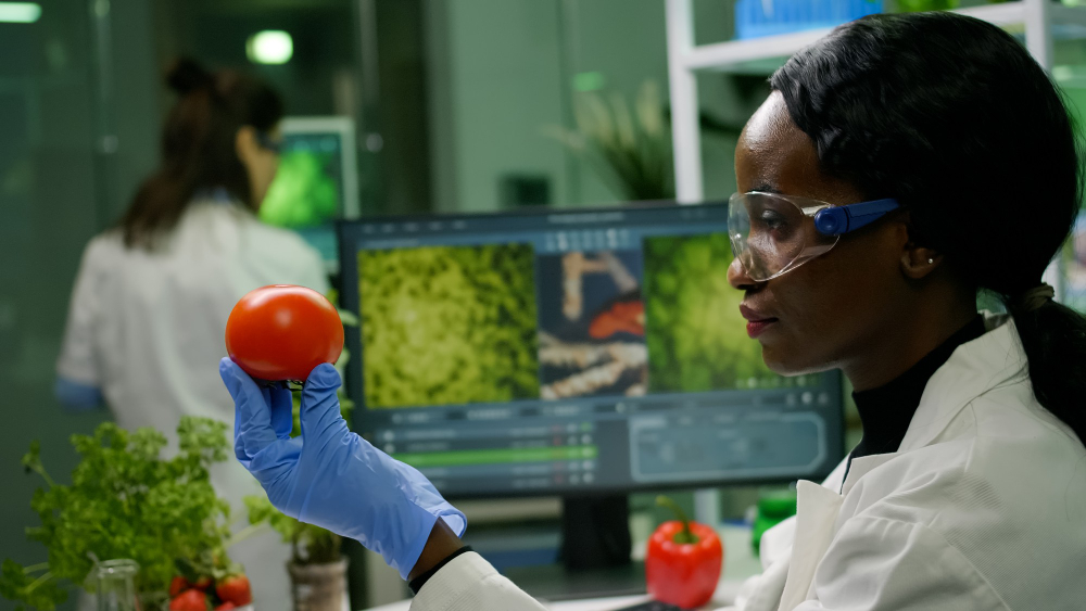 BIO READY — Audit & Conformité Bio